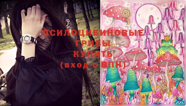 гидра Волоколамск