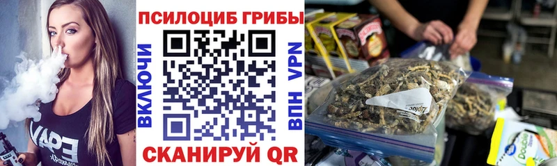 купить наркотик  Южа  Псилоцибиновые грибы GOLDEN TEACHER 